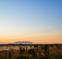 Uluru Ayers Rock Field of Light Sunrise Tour - C Tourism