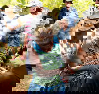 Tiwi Islands Cultural Experience from Darwin Including Ferry - C Tourism