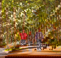 Darwin City Sights and Jumping Crocodile Cruise - C Tourism