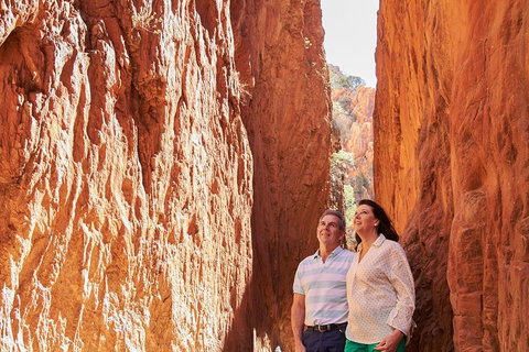 Best Of Alice Springs Full Day Tour - C Tourism 4