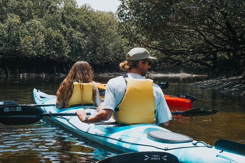 Kayak Tour In Adelaide Dolphin Sanctuary - C Tourism 2