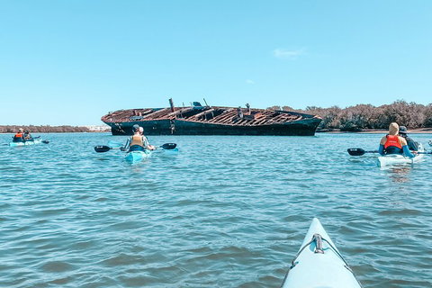 Kayak Tour In Adelaide Dolphin Sanctuary - C Tourism 3