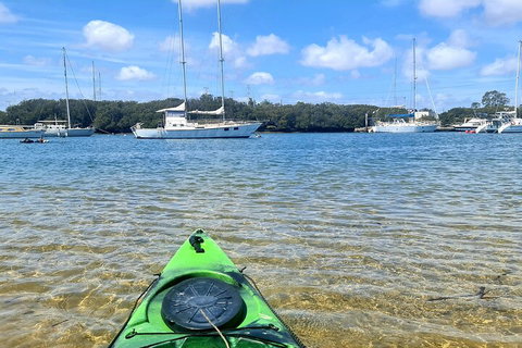 Kayak Tour In Adelaide Dolphin Sanctuary - C Tourism 4