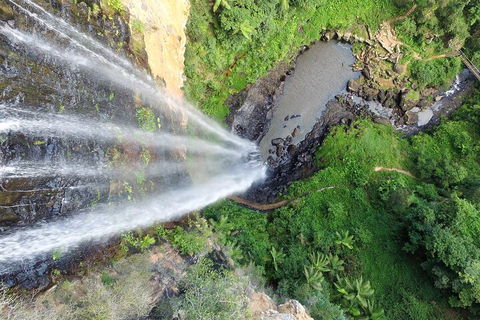 Natural Bridge & Springbrook Waterfalls Tour + Hot Air Balloon With Breakfast - C Tourism 1