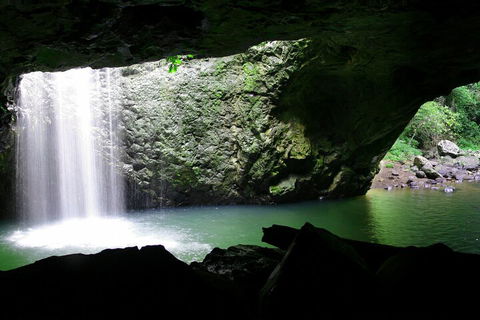 Natural Bridge & Springbrook Waterfalls Tour + Hot Air Balloon With Breakfast - C Tourism 2
