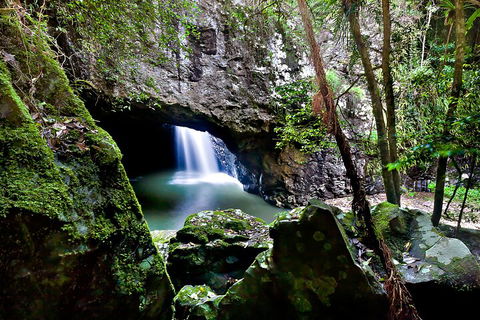 Natural Bridge & Springbrook Waterfalls Tour + Hot Air Balloon With Breakfast - C Tourism 4