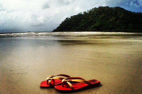 Daintree And Cape Tribulation Full Day Guided Tour - C Tourism 4