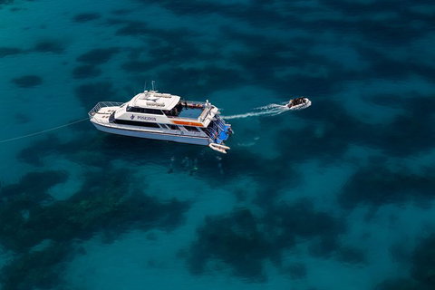 Quicksilver Dive 4 Day PADI Learn To Dive Course - C Tourism 1