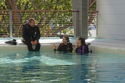 Quicksilver Dive 4 Day PADI Learn To Dive Course - C Tourism 3