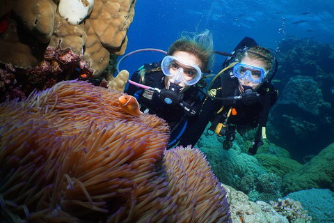 Quicksilver Dive 4 Day PADI Learn To Dive Course - C Tourism 4