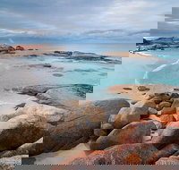 Wineglass Bay Private Charter Service - C Tourism