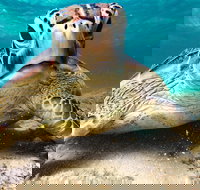 Sail Snorkel SUP  Kayak Charter Whitsundays - C Tourism