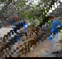 Fully guided E-Mountain Bike Tour on the beautiful Mornington Peninsula. - C Tourism