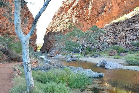 Alice Springs, Uluru Ayers Rock & Kings Canyon 8 Days Touring Package - C Tourism 2
