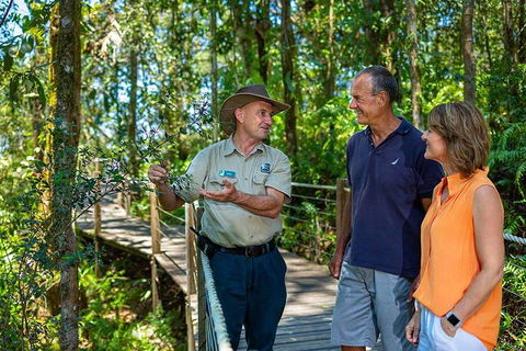 Kuranda Scenic Railway Day Trip From Cairns - C Tourism 1