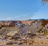 The Amazing Kings Canyon 4-Hours Walking Tour and Hike - C Tourism
