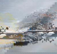 3.5 Hours Walking Tour to Cataract Gorge with Local Guide - C Tourism