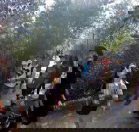 Active Day Tour One-Way from Launceston to Hobart via Wineglass Bay - C Tourism