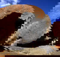 Full-Day Kangaroo Island Safari from Penneshaw - C Tourism