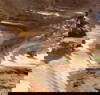 Hobart Minibus Full-Day Private Tour - C Tourism