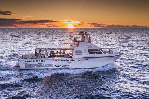 Kalbarri Sunset Coastal Cliff Cruise - C Tourism 2
