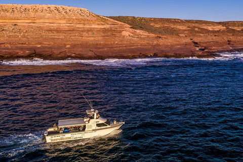 Kalbarri Sunset Coastal Cliff Cruise - C Tourism 4
