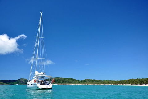 Sailing Curlew Escape On Moreton Bay - C Tourism 5