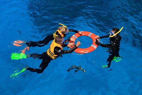 Great Barrier Reef Adventure From Cairns - C Tourism 3