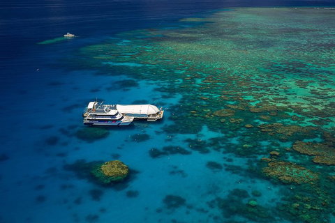 Great Barrier Reef Adventure From Cairns - C Tourism 4