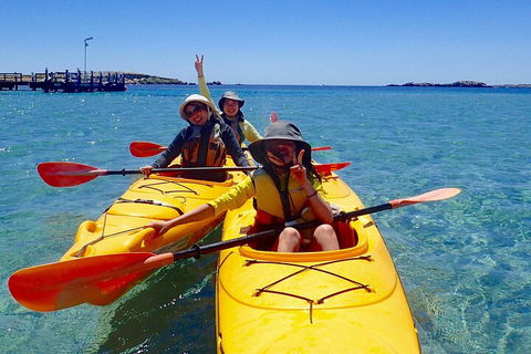 Penguin And Seal Islands Sea Kayaking Experience - C Tourism 4