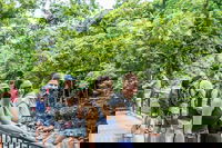 Cape Tribulation Mossman Gorge and Daintree Rainforest Day Trip from Cairns or Port Douglas