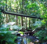 Double Pack-Ancient Rainforest and Waterfalls - C Tourism