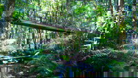 Double Pack-Ancient Rainforest and Waterfalls, Cairns