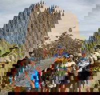 Jumping Crocodile Cruise and Berry Springs Nature Park - C Tourism