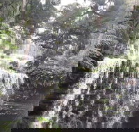 6-Day Hearty Tasmania Tour Tasmania in a Circle - C Tourism