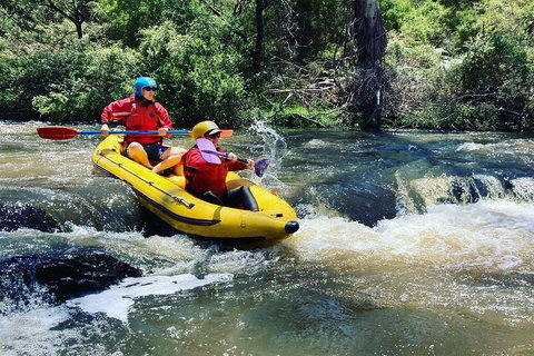 Yarra River Half-Day Rafting Experience - C Tourism 4
