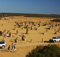 1-Day Pinnacles and Yanchep Tour from Perth including Fish and Chips Lunch - C Tourism