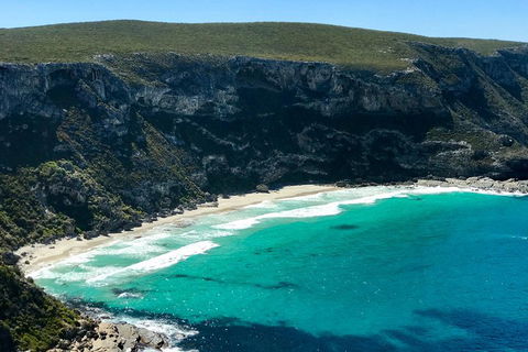 Kangaroo Island Scenic Trail Tour - C Tourism 4
