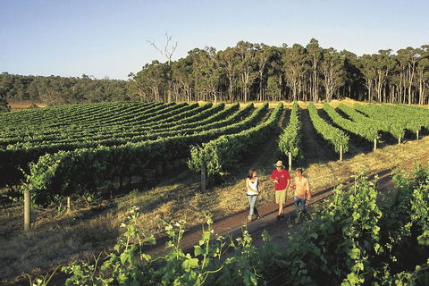 Margaret River, Caves, Wine And Cape Leeuwin Lighthouse Tour From Perth - C Tourism 1