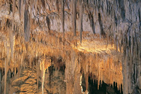 Margaret River, Caves, Wine And Cape Leeuwin Lighthouse Tour From Perth - C Tourism 3