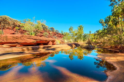 7-Day Guided Tour Of Alice Springs With Accommodation Included - C Tourism 1
