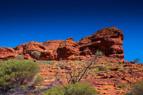 7-Day Guided Tour Of Alice Springs With Accommodation Included - C Tourism 4