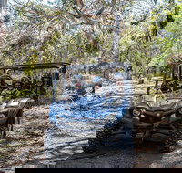 Small-Group Buggy Tour at Little Sahara with Guide - C Tourism