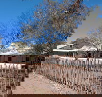 Private Cultural and Historical Painted Desert Tour in Hermannsburg - C Tourism