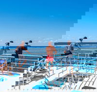 Calypso Outer Great Barrier Reef Cruise from Port Douglas - C Tourism