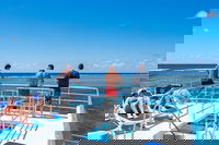 Calypso Outer Great Barrier Reef Cruise from Port Douglas