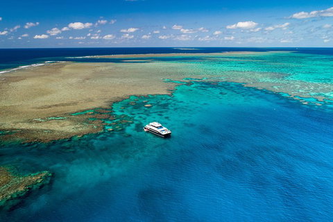 Calypso Outer Great Barrier Reef Cruise From Port Douglas - C Tourism 1