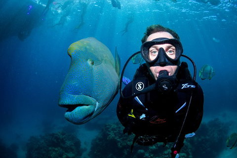 Full Day Reef Cruise Including 10 Minute Heli Scenic Flight: Get High Package - C Tourism 1