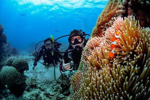 Full Day Reef Cruise Including 10 Minute Heli Scenic Flight: Get High Package - C Tourism 5