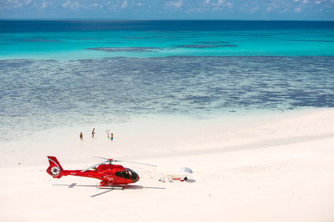 Private Helicopter Tour: Reef Island Snorkeling And Gourmet Picnic Lunch - C Tourism 2